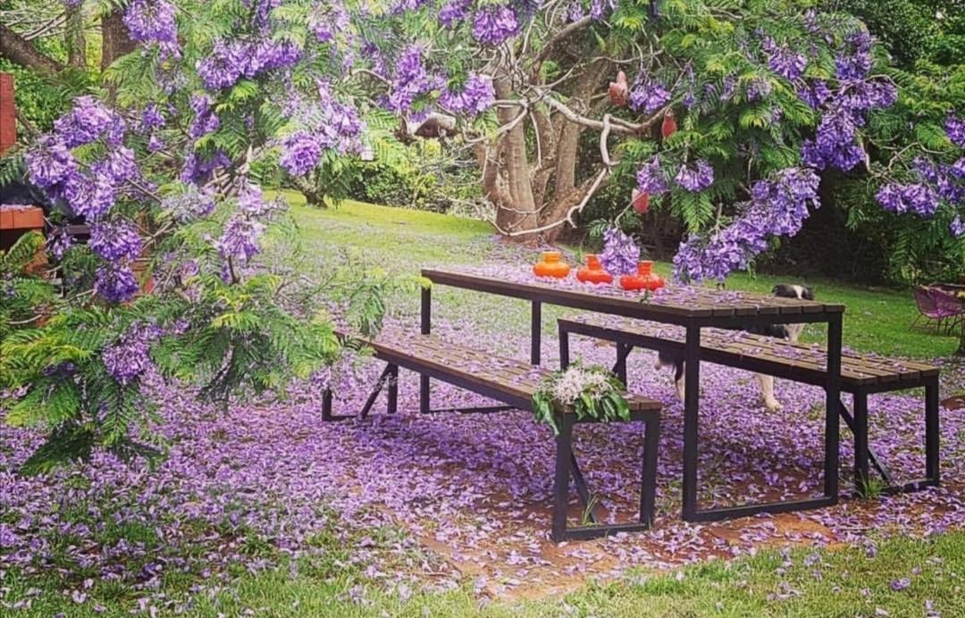 Beechmont Wyndover Mountain Retreat المظهر الخارجي الصورة