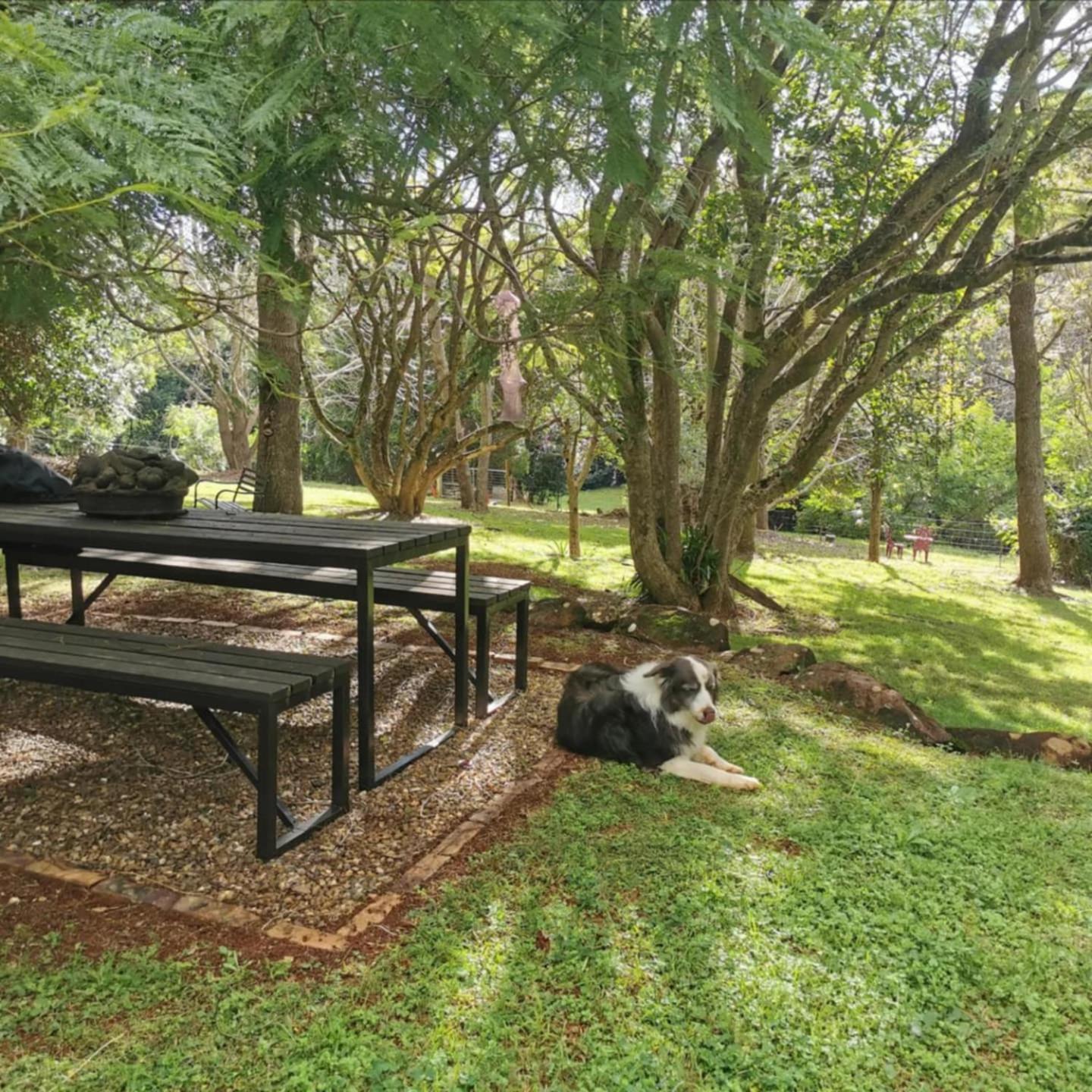 Beechmont Wyndover Mountain Retreat المظهر الخارجي الصورة